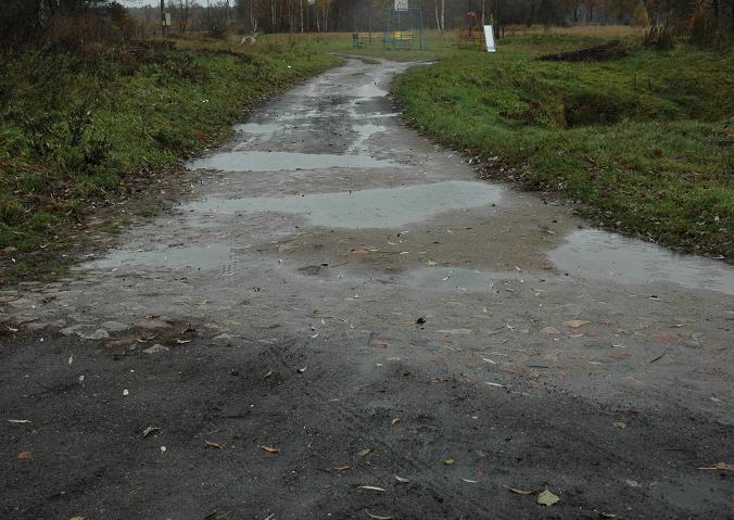 Jarogniewice. Ostatni fragment brukowanego dojazdu od gwnej drogi wiejskiej na stacj kolejki szprotawskiej. Grudzie 2006, fot. Ola Michalska