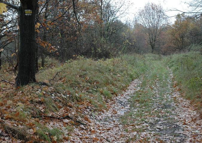 Radwanw. Droga polna wprowadzajca z szosy na teren dawnej stacji. Prowadzi ona ladem bocznego (wschodniego) toru dawnej mijanki. Widoczny znak ztego szlaku turystycznego. Grudzie 2006, fot. Ola Michalska