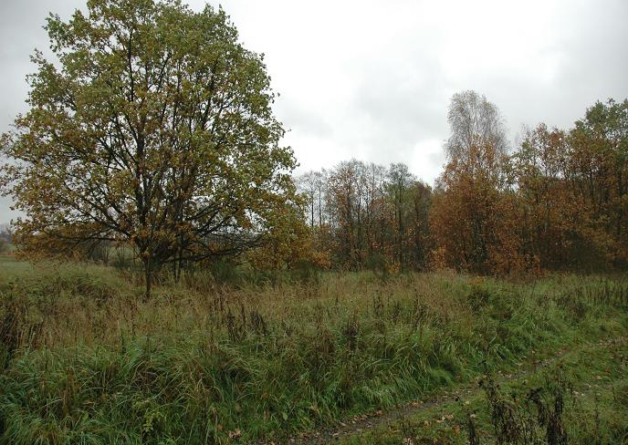 Radwanw. Widok z drogi polnej (miejsce dawnej wschodniej nitki mijanki) na wschd, w kierunku pl i wsi. Grudzie 2006, fot. Ola Michalska