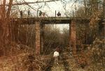 1994.03.06 Dzieci z zielonogórskiego Pogotowia Opiekuńczego przy wiadukcie w Lesie Broniszowskim.