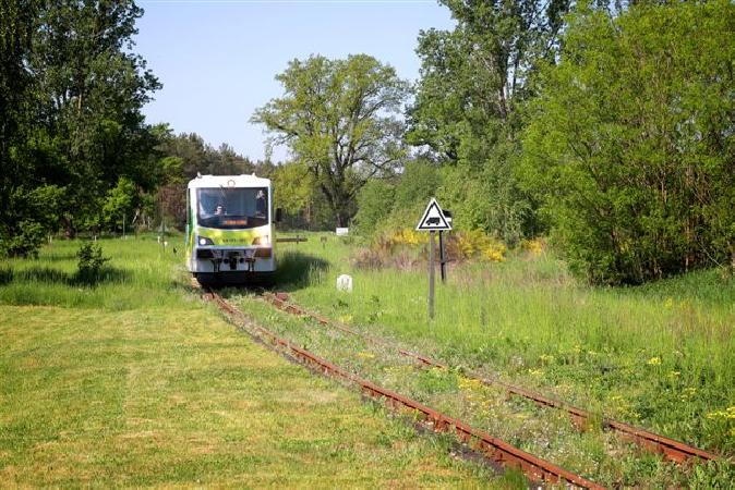 Na naszych trasach to jednak widok rzadki. Cho jedzimy i zwiedzamy tereny pooone wzdu lokalnych linii kolejowych, to w wikszo z nich jest nieczynna. Std pocig na trasie to wielkie przeycie dla uczestnikw. Fot. Jana W.