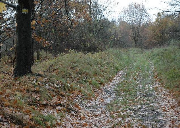 Radwanw. Droga polna wprowadzajca z szosy na teren dawnej stacji. Prowadzi ona ladem bocznego (wschodniego) toru dawnej mijanki. Widoczny znak ztego szlaku turystycznego. Grudzie 2006, fot. Ola Michalska