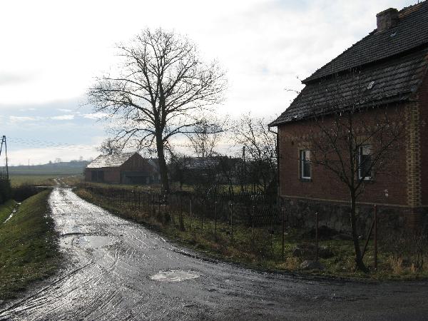 Przeciwny biegun stacji. Widok z placu postacyjnego wzdu dawnego torowiska w kierunku Witkowa (na poudnie). Z prawej fragment gocica, w przodzie - kem, ktry tory omijay szerokim ukiem z lewej. Stycze 2008 r., fot. M. Bonisawski