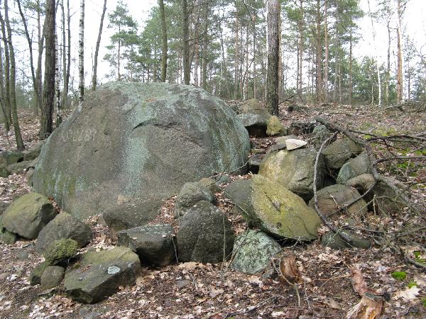 Centralny fragment staroytnego cmentarzyska kurhanowego - szczyt wzgrza. Stan z 12 IV 2008, fot. M. Bonisawski