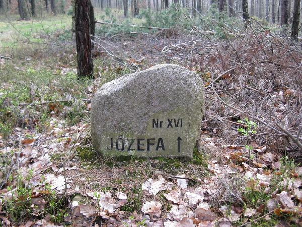 Tak oznakowane s w okolicy rdlene trasy rowerowe. Fot. M. Bonisawski