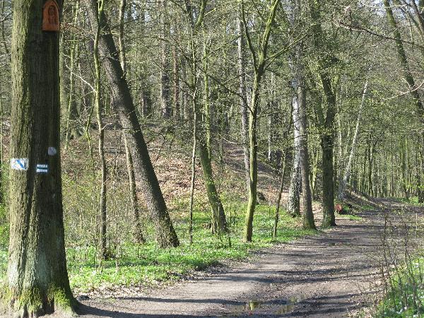 13.04.08. Park Tysiclecia w Szprotawie. Droga od mostu na Bobrze do grodziska. Po lewej widoczne sztuczne wzniesienie, wyrane grujce nad drog. Fot. M. Bonisawski
