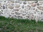 IMG_0521