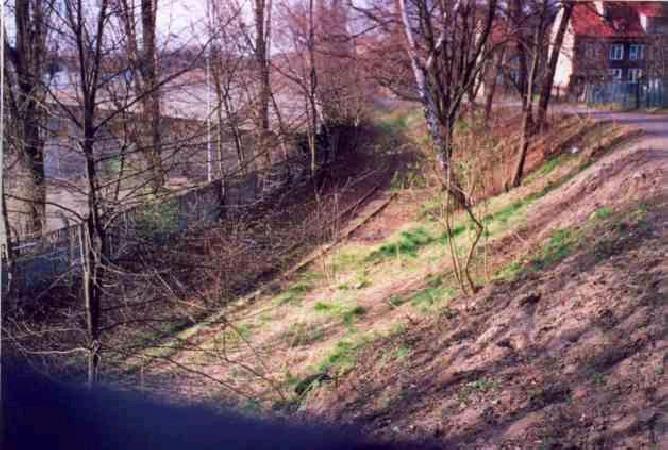 Lbtenzweiche czyli zwrotnica, od ktrej biega 
bocznica do powojennego ZEFAMU i Polskiej Weny. Torowisko wzdu potu Zefamu. Stan kwiecie 2001, fot. Marek Toporowicz.