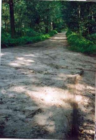 Okolice midzy Schutzenplatz a Jdrzychowem.  Fragment toru szlakowego w kierunku Zielonej Gry w cigu ul. E. Platter przy pocie budowlanki. Kwiecie 2001. Fot. Marek Toporowicz