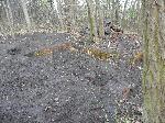 Odkryte fundamenty obiektu na stacji w Broniszowie, cz pnocna. Bya to prawdopodobnie dwuczciowa wiata z wag towarow. Stan listopad 2009 r.