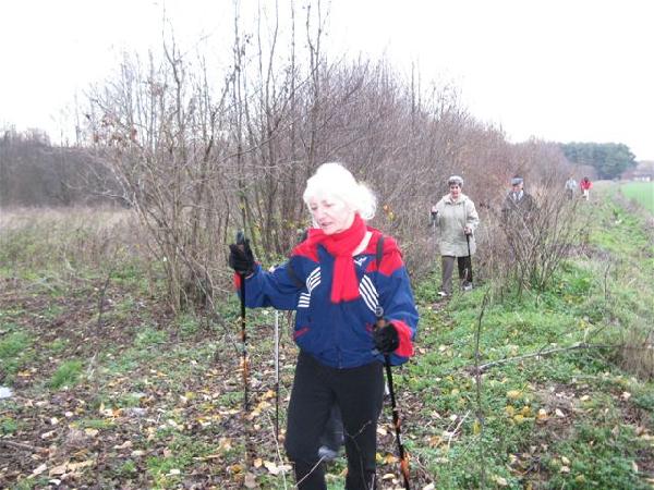 11 XI 2008. To te s uczestnicy Zlotu, naprawd ! Jak, waszym zdaniem, prezentuj si turyci na szlaku kolejki midzy wsi Ochla a rzeczk lska Ochla z kijkami do nordic walking ? Fot. B. Boczar
