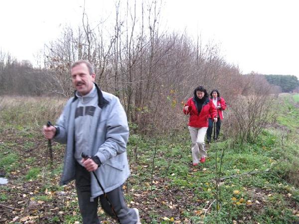 11 XI 2008. To te s uczestnicy Zlotu, naprawd ! Jak, waszym zdaniem, prezentuj si turyci na szlaku kolejki midzy wsi Ochla a rzeczk lska Ochla z kijkami do nordic walking ? Fot. B. Boczar