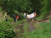 W rodku wwozu. Przymusowy stop drezyn. Dalej nie dao si z nimi przej przez takie bagno (Zielona Gra, przy wiadukcie, uycka 17) 09.05.10